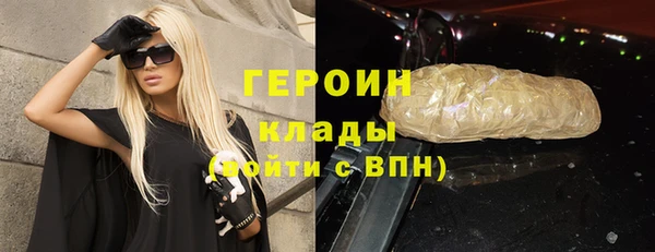 гашик Алексин