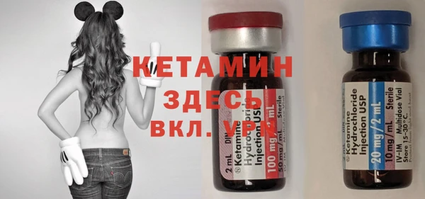 гашик Алексин