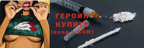 гашик Алексин