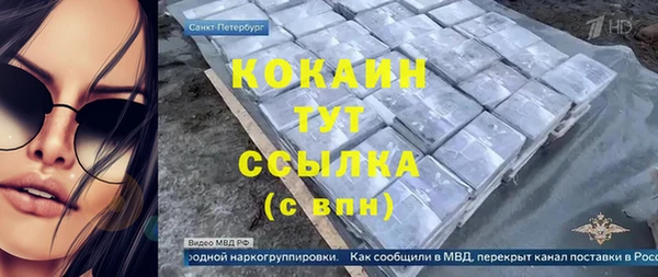 гашик Алексин