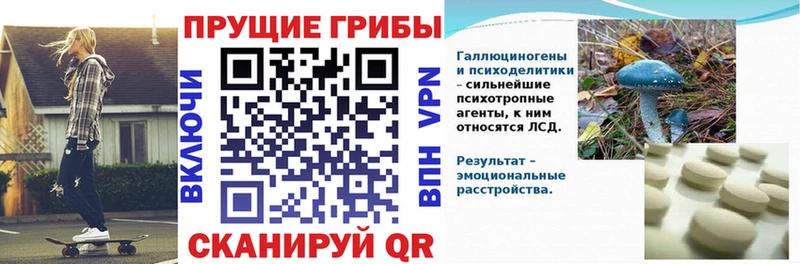 Галлюциногенные грибы прущие грибы Закаменск
